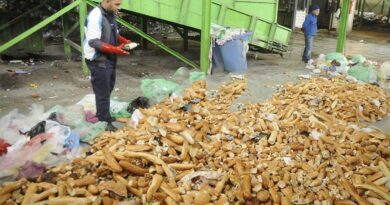 900 millions de baguettes de pain jetées par an : les influenceurs appelés à sensibiliser