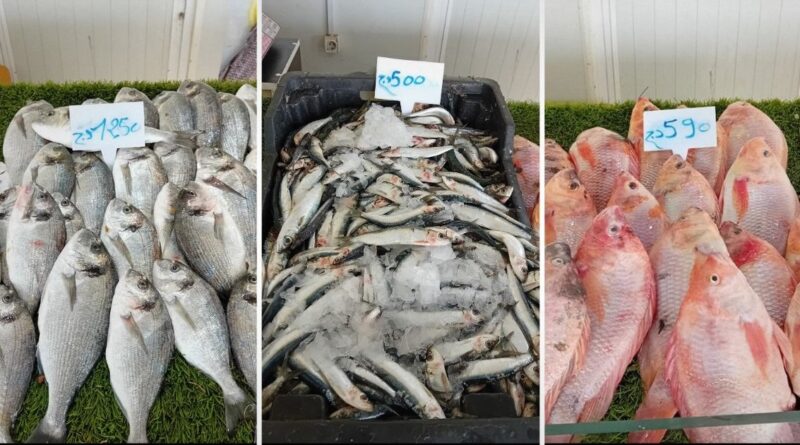 Alger : la sardine à 500 DA et la daurade à 1250 DA à ces endroits