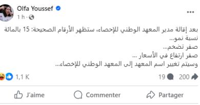 ألفة يوسف تتوقع أنه سيتم تغيير اسم المعهد الوطني للإحصاء بالمعهد الوطني للإخصاء - Actualités Tunisie Focus