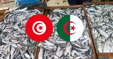 Importation de sardines tunisiennes : une solution pour stabiliser le marché algérien ?