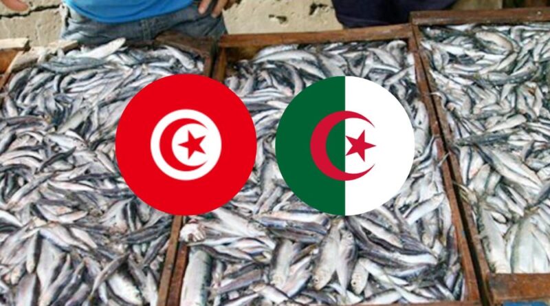 Importation de sardines tunisiennes : une solution pour stabiliser le marché algérien ?