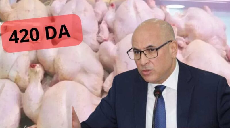 L'Algérie importe 10000 tonnes de poulet : le prix de la viande blanche va-t-il baisser ?