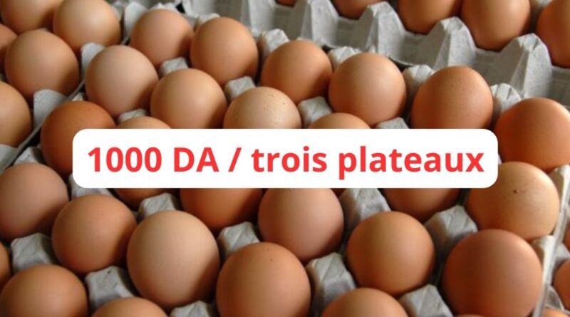 Les prix des œufs en chute libre : 1000 DA pour trois plateaux !