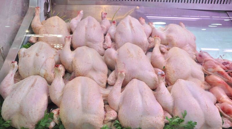 Ramadan 2024 : augmenter l'approvisionnement en poulet, l'ONAB renforce les stocks