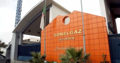Ramadan 2024 : Sonelgaz annonce une bonne nouvelle aux Algériens