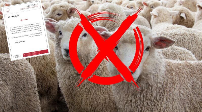 Aïd al-Adha : Alviar dément l'importation de moutons de Roumanie mais le flou persiste