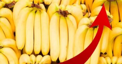 Banane : "son prix ne devrait pas dépasser 200 DA", Zitouni qui promet des sanctions