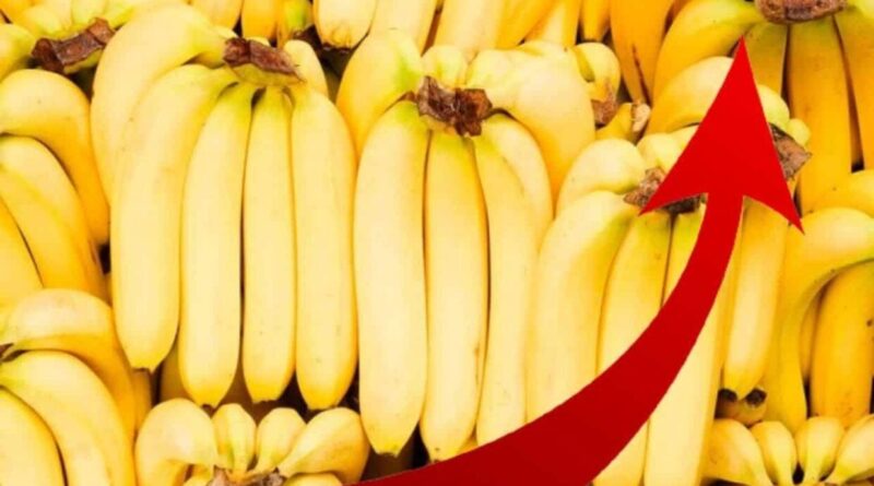 Banane : "son prix ne devrait pas dépasser 200 DA", Zitouni qui promet des sanctions