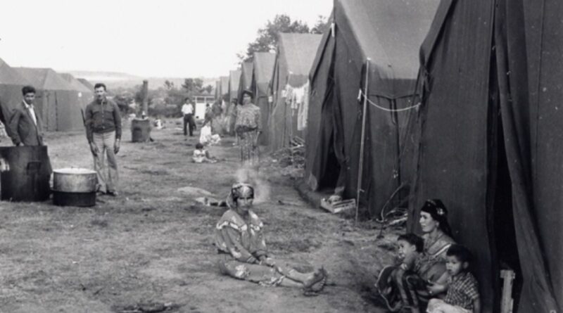 Camps d'accueil des harkis : la France condamnée pour les mauvaises conditions de vie