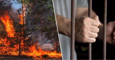 Feux de forêt : 7 ans de prison ferme pour les responsables de l'incendie de Djnan El-Anab