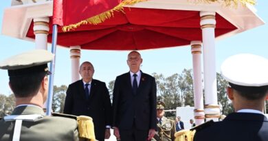 " La Tunisie restera debout !" déclare Tebboune à Tunis (Vidéo)