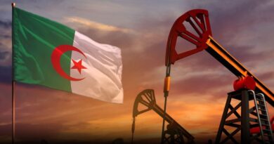 L'Algérie dans le Top 3 des plus grands producteurs africains de pétrole (OPEP)