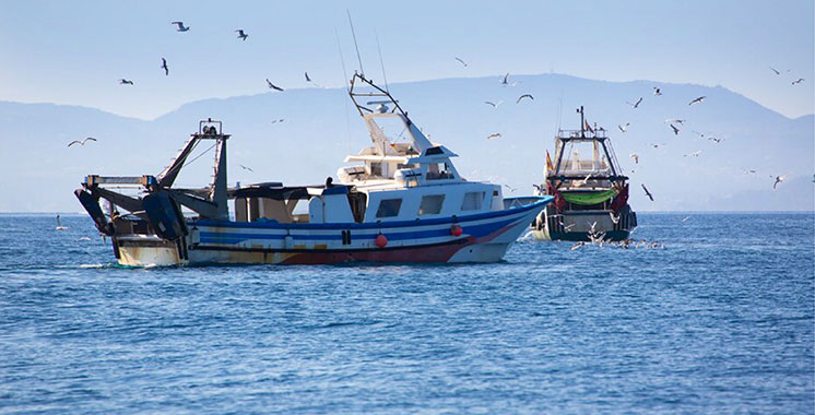 Pêche : hausse de la valeur des produits commercialisés de 2% à fin mars 2024