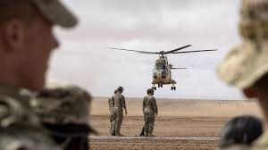 Tunisie, terre d’accueil des manœuvres militaires américaines "African Lion 2024". - Actualités Tunisie Focus