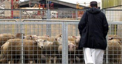 Aïd al-Adha 2024 - France: les préfectures rappellent les conditions de l'abattage rituel