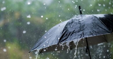 Alerte Météo en Algérie : pluies attendues dans plusieurs régions dés demain