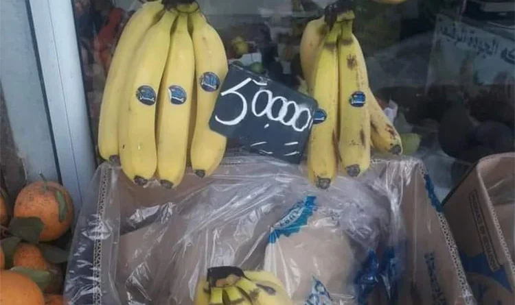 Flambée des prix de la Banane : L'État contre-attaque en important 10 000 tonnes