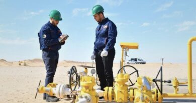 Hydrocarbures / Algérie : Arkab annonce 8 découvertes majeures depuis début 2024