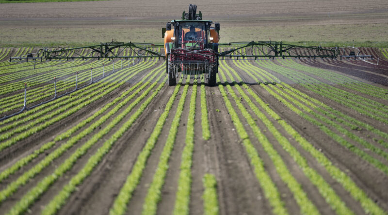 La Suisse propose une «voie médiane» entre agriculture biologique et agriculture conventionnelle