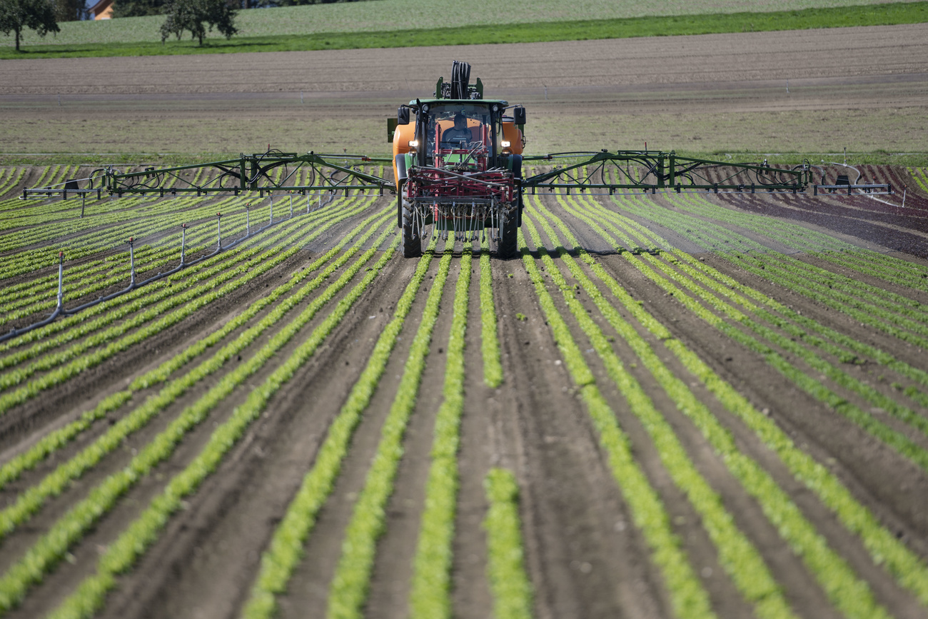 Tracteur épandant des produits dans un champ