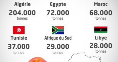 L'Algérie 1er producteur d’abricots en Afrique : les prix vont-ils enfin s'effondrer ?