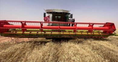 Révolution agricole : l'Algérie se hisse au 2ᵉ rang africain en production de blé