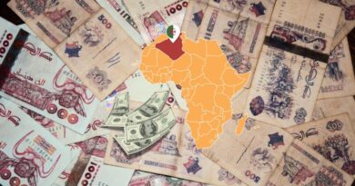 Salaires minimums en Afrique (2024) : l'Algérie derrière la Tunisie et le Maroc