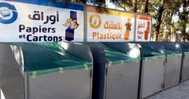 Système de gestion des déchets : Tebboune ordonne sa révision