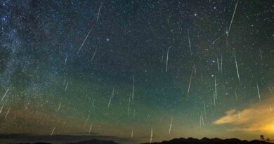 Une pluie d'étoiles filantes illuminera le ciel de l'Algérie ce soir : Comment et où l'observer ?