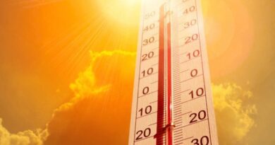 Alerte canicule : températures jusqu'à 46 degrés sur 12 wilayas ce 7 juin
