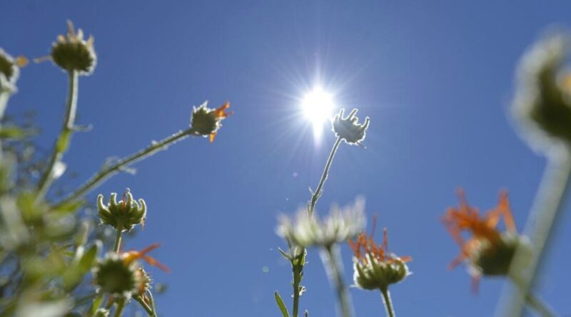 Après la récente vague de chaleur, quelle météo faut-il prévoir en Algérie ce 9 juin ?