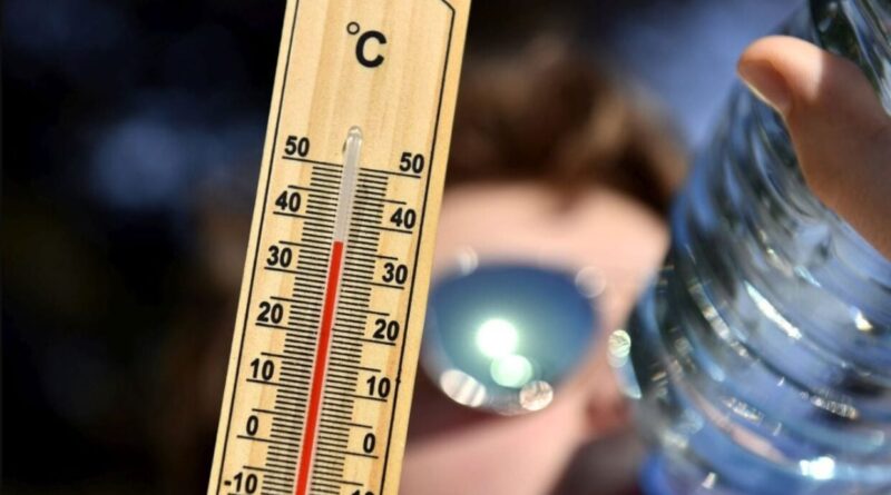 BMS - Météo Algérie : le mercure dépassera les 49 °C dans ces régions ce lundi 24 juin !