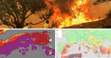 Canicule et risque d'incendie : Alerte rouge sur l'Algérie