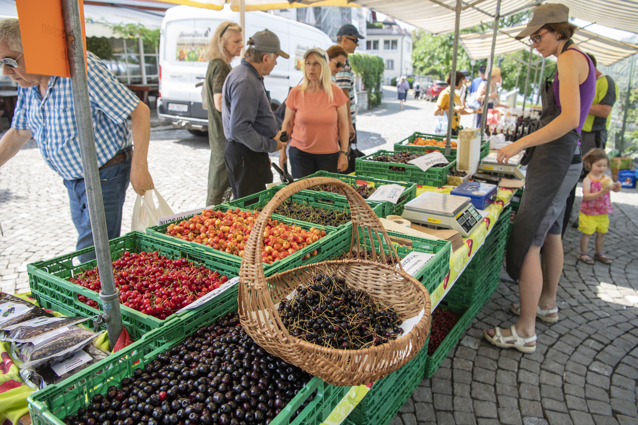 marché aux cerises, Zoug