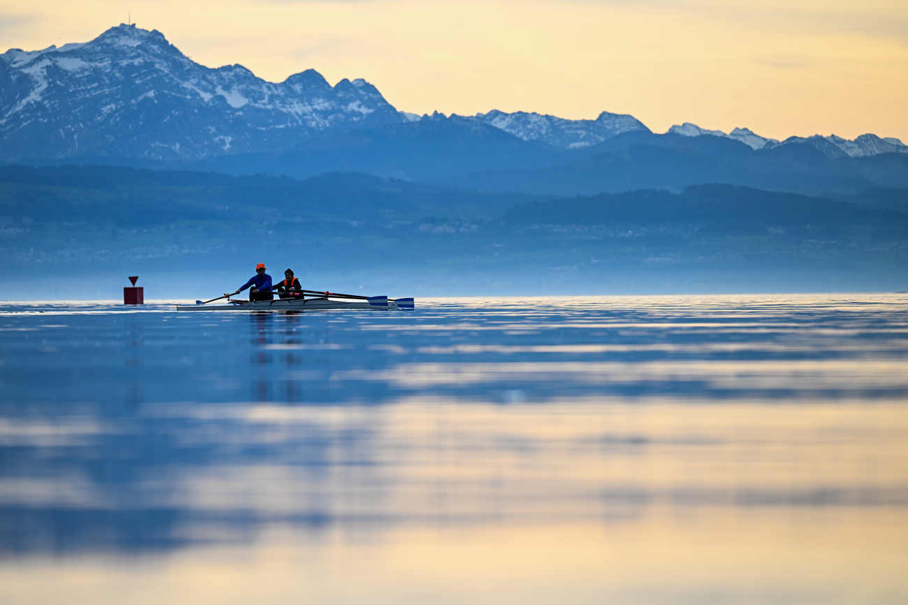 Des rameurs sur le lac de Constance.