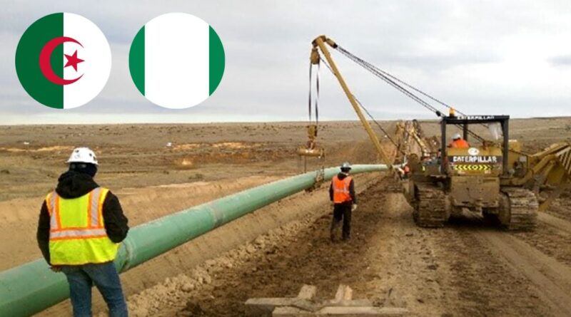 Gazoduc Algérie-Nigeria : Le pipeline NIGAL sur la voie rapide du succès