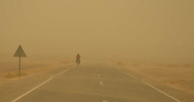 La météo en Algérie ce 20 juin : une vague de chaleur continue d'affecter ces wilayas !