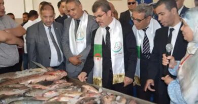 Produits halieutiques  : L'Algérie vise une production de 12 000 tonnes d'ici fin 2024