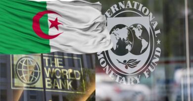 Un représentant du FMI met en avant la solidité des performances économiques de l'Algérie