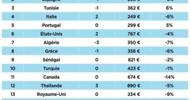 Vols depuis la France - été 2024 : les prix des billets de voyage vers l'Algérie chutent