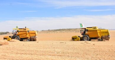 Agriculture : la date de lancement du mégaprojet algéro-italien connue