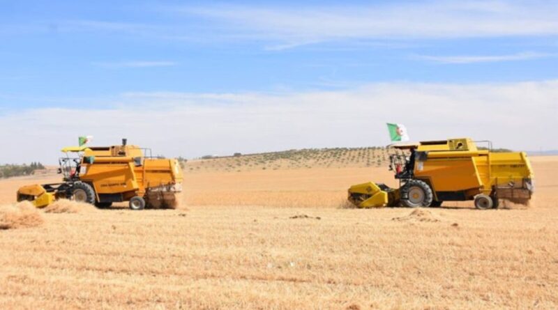 Agriculture : la date de lancement du mégaprojet algéro-italien connue