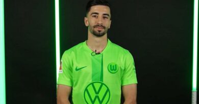 "Amoura va s'imposer à Wolfsburg", Karim Ziani