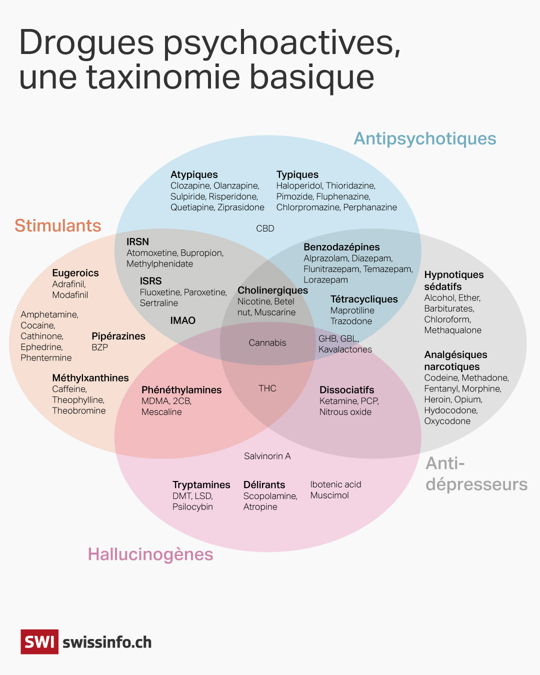 Infographie