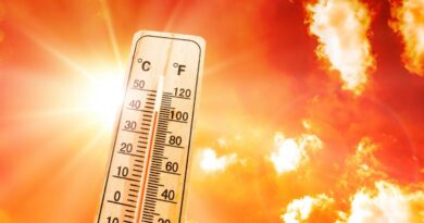 BMS - Canicule en Algérie : ce dimanche 28 juillet, le mercure atteint les 46 °C dans ces régions