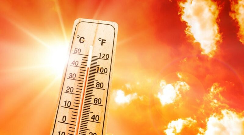 BMS - Canicule en Algérie : ce dimanche 28 juillet, le mercure atteint les 46 °C dans ces régions