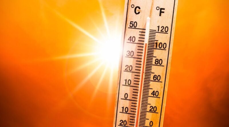 BMS - Chaleurs extrêmes en Algérie : la température dépassera les 50 °C ce 10 juillet !