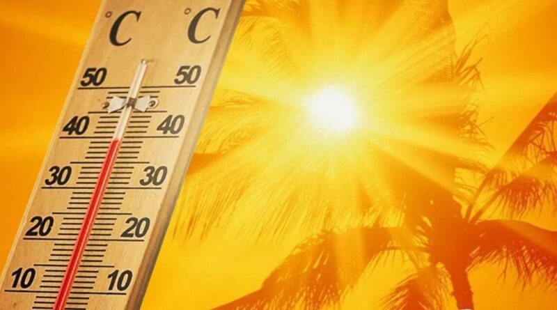 BMS - Météo Algérie : la température frôlera les 49 °C dans ces wilayas ce 3 juillet !