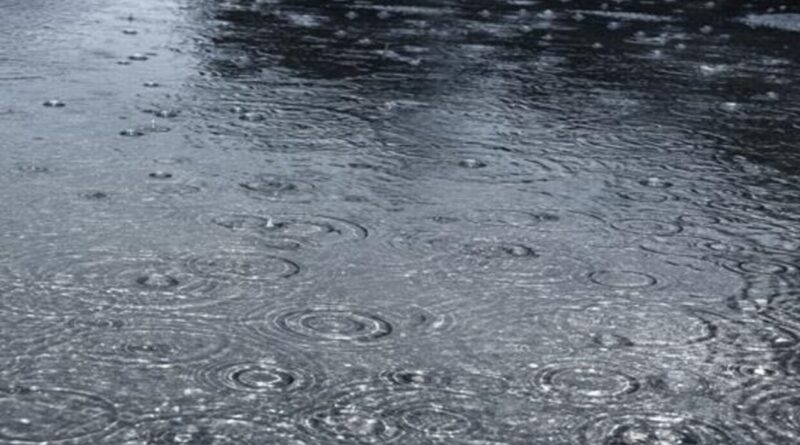 Bulletin Météo Spéciale : retour de la pluie dans ces régions