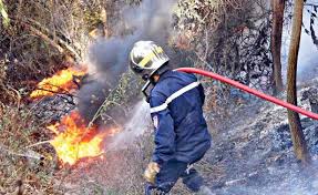 Des équipes de pompiers tunisiennes et algériennes éteignent des feux de forêt à la frontière des deux pays - Actualités Tunisie Focus